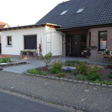 Gaestehaus Am Hermann Hoerstel Exterior foto